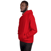 Mountain Line Hoodie